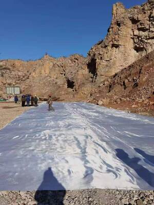 Czarne granulaty poliestrowe polipropylenowe PET PP nadające się do recyklingu i produkcji ekologicznych materiałów opakowaniowych