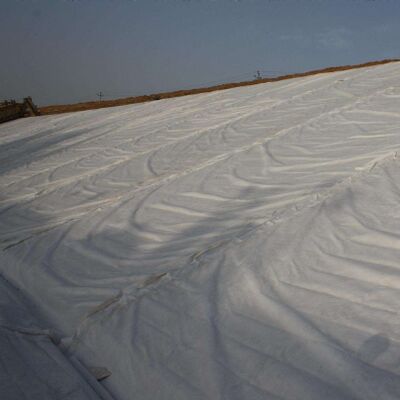Włókna poliestrowe z igły cioskowanej z włókien krótkich Geotekstil niewpływany do wzmocnienia chodnika