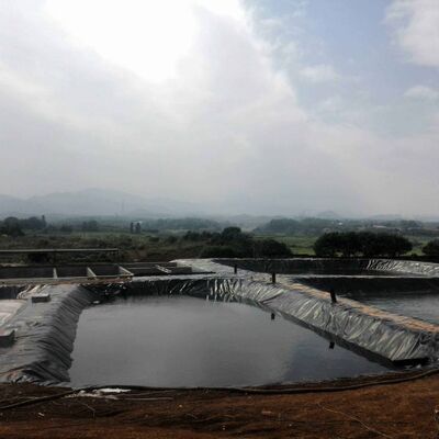 Wytrzymały pokrywacz geomembranowy HDPE pokrywacz stawów rolniczych dla bezpiecznego hodowli akwakultury