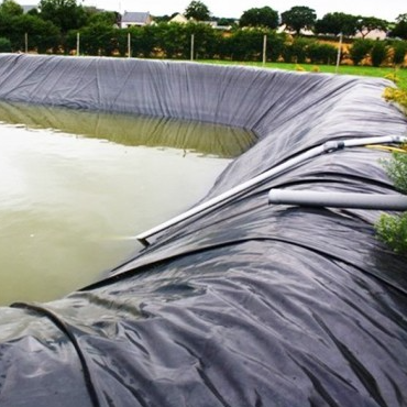 Wodoodporna geomembrana HDPE z barierą korzeniową do izolacji ogrodów na dachach komercyjnych