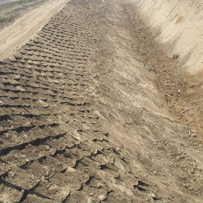 ASTM Standard HDPE Geokomórka o wysokości 50 mm Siatka żwirowa o strukturze plastra miodu