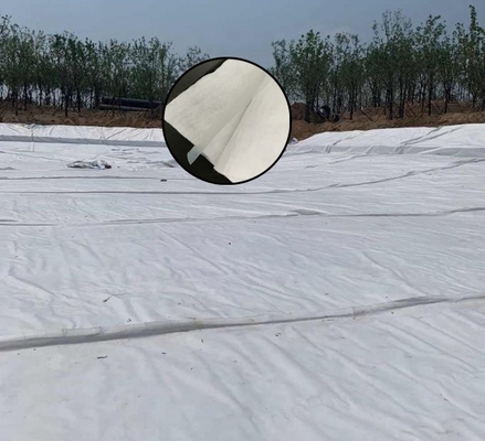 Izolacja tunelu drogowego z włókniny kompozytowej z geomembraną