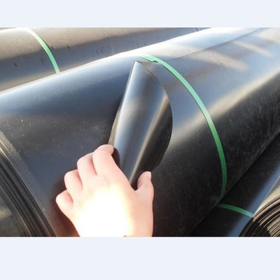 Anti Aging Industrial LDPE Geomembrana Liner 6m 7m 8m Przeciwutleniacz