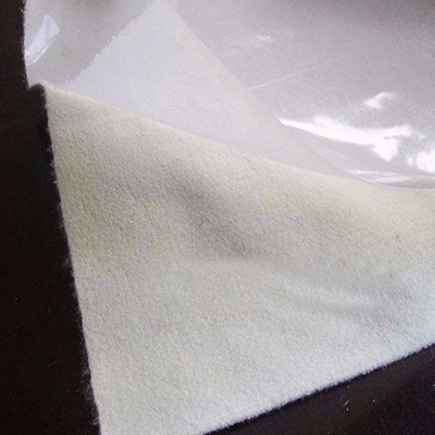 0,75 1,5 mm 3 mm Gładka kompozytowa geomembrana HDPE Liner Roll Tunnel Składowisko odpadów